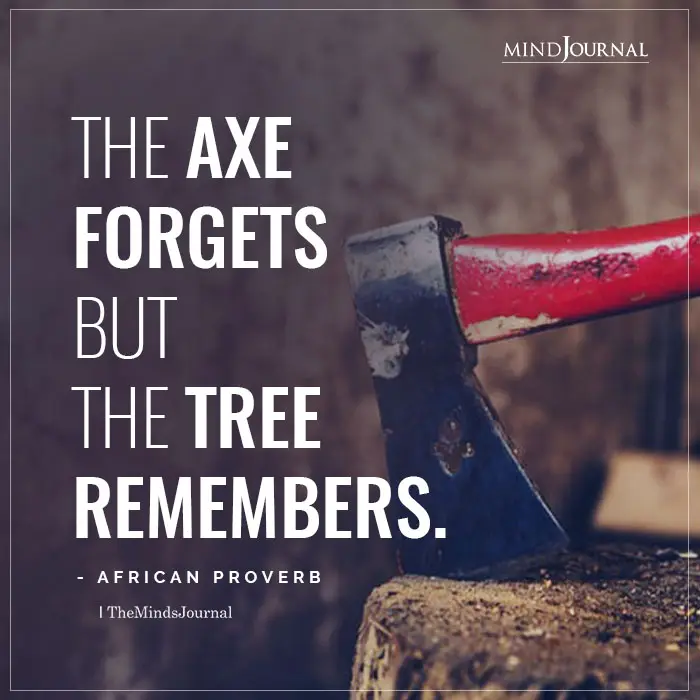 The axe forgets but the tree remembers