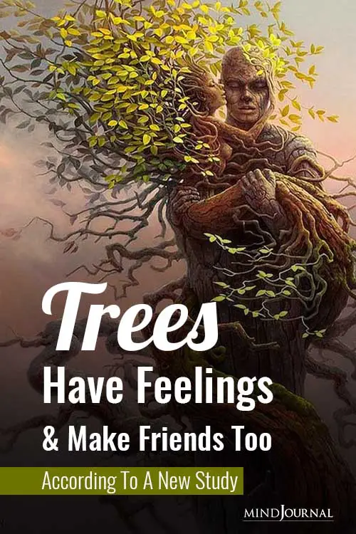 Trees Have Feelings and Make Friends Too According To A New Study Pin