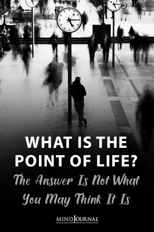 What Is The Point Of LifE Pin
