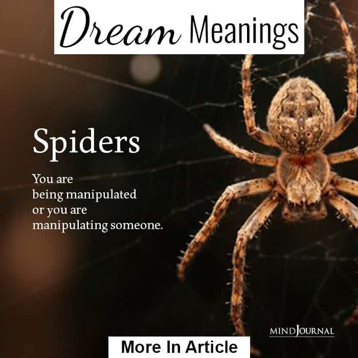 Spiders Common dream meanings