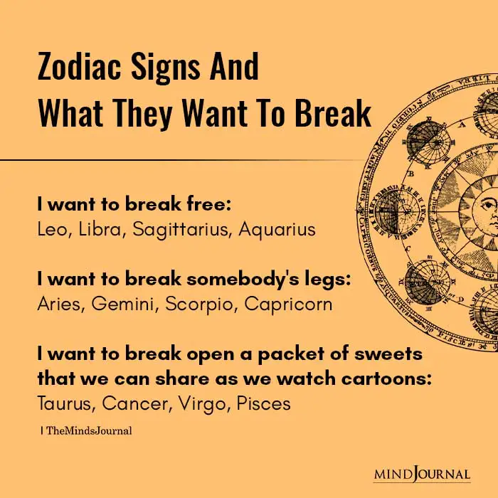 Zodiac Signs What They Want Break
