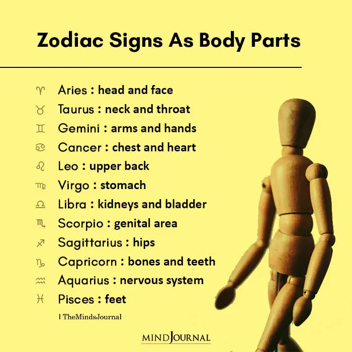Zodiac Signs As Body Parts