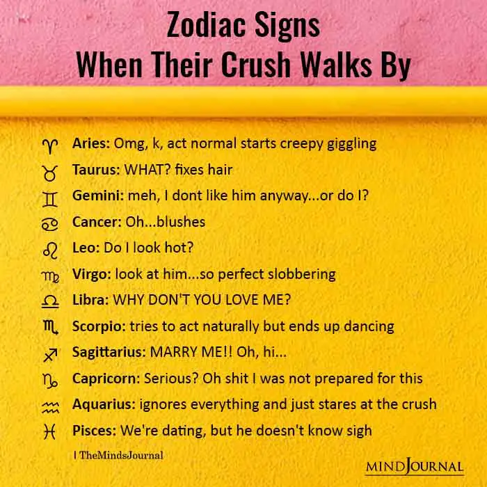 Zodiac Signs When Their Crush Walks By