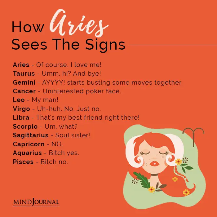 how aries sees the signs
