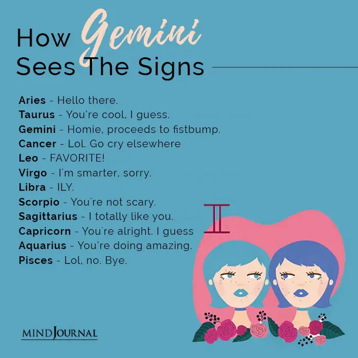 how gemini sees the signs