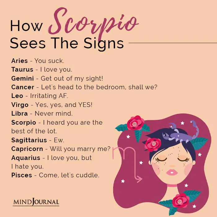 how scorpio sees the signs
