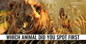 Animal Spot First Reveals Kind of Person You Are