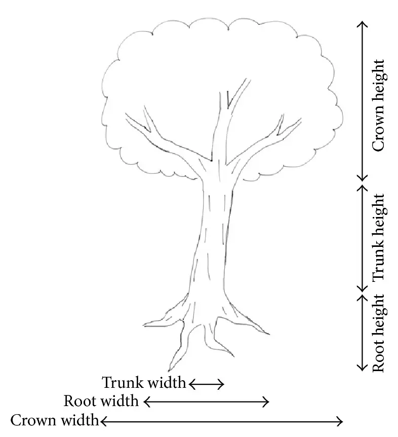 Karl Koch's Tree Test
