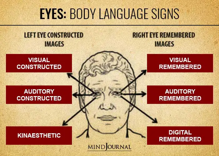 How to read body language signs accurately of the eyes