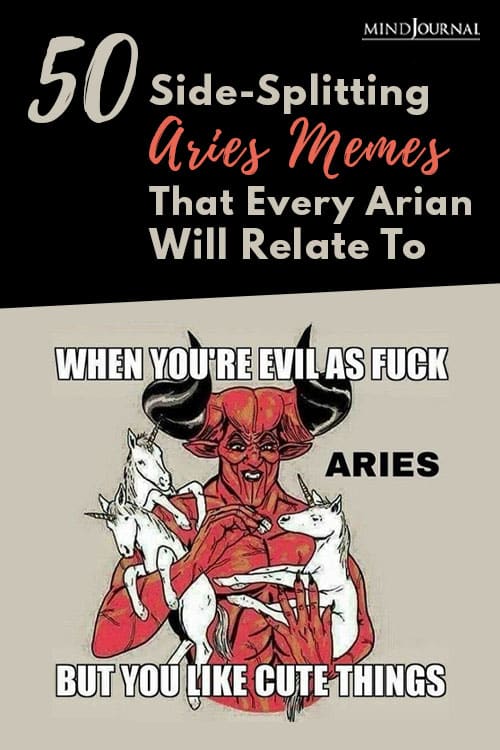 SideSplitting Aries Memes Pin