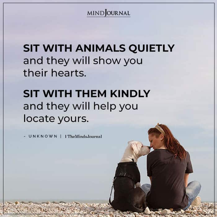 animals quietly and they will show you
