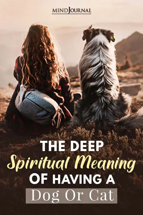 Deep Spiritual Meaning Having A Dog Or Cat Pet Pin