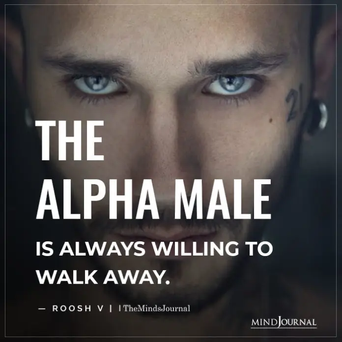 signs of a fake alpha male