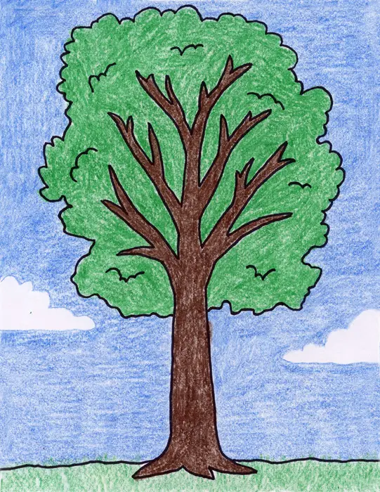 psikotes gambar pohon berwarna