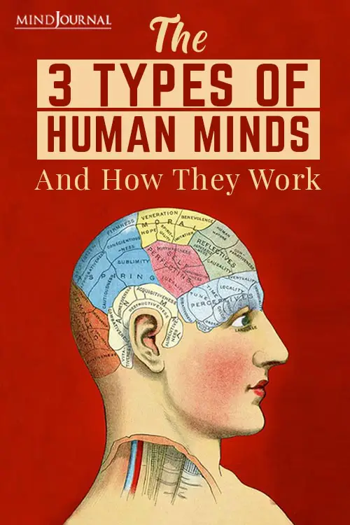 Types Of Human Minds Work Pin