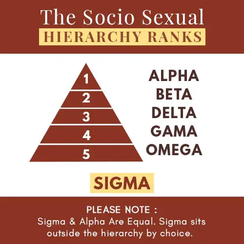 alpha to sigma - What Is Your Socio Sexual Hierarchy Rank