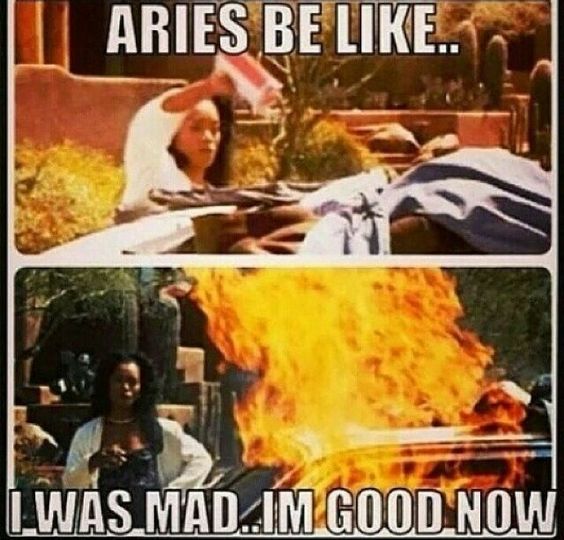 Aries memes