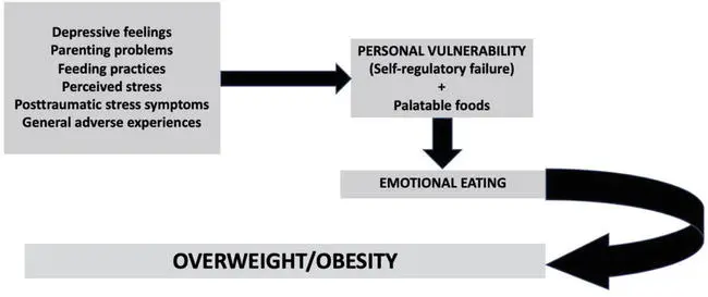 Emotions and obesity