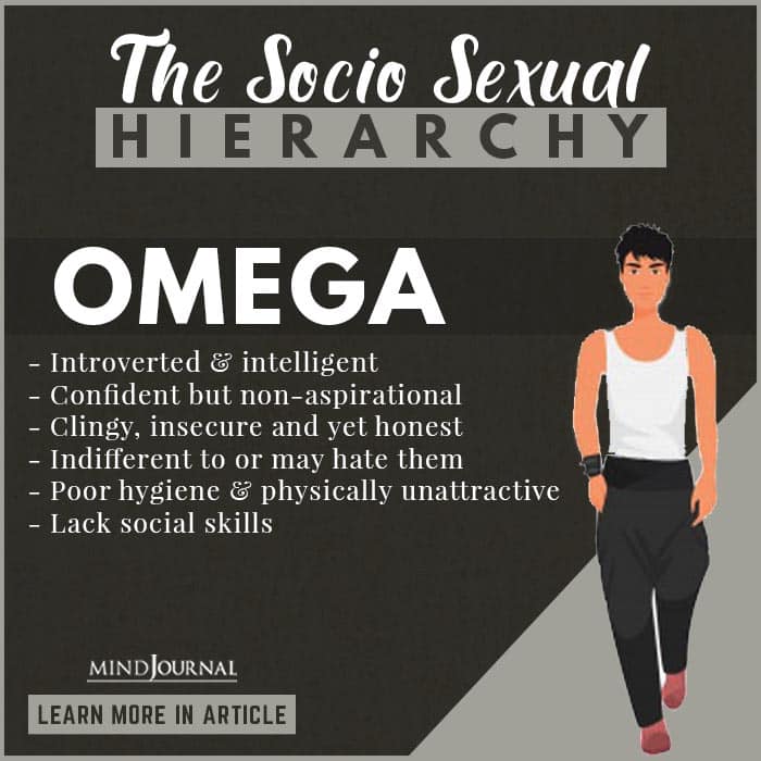From Alpha To Omega: What Is Your Socio-Sexual Hierarchy Rank?