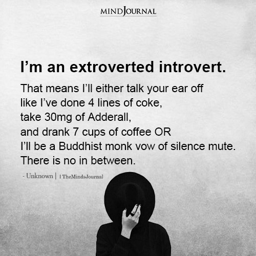 Im An Extroverted Introvert