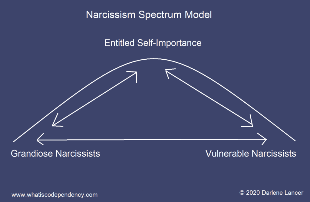 Narcissism Spectrum Model