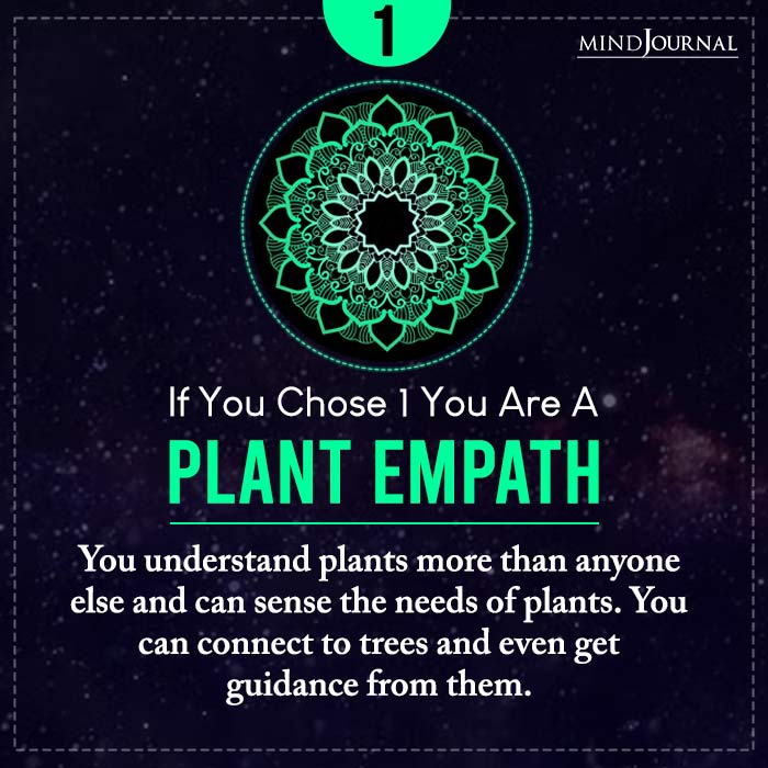 Strongest Gift As An Empath plant