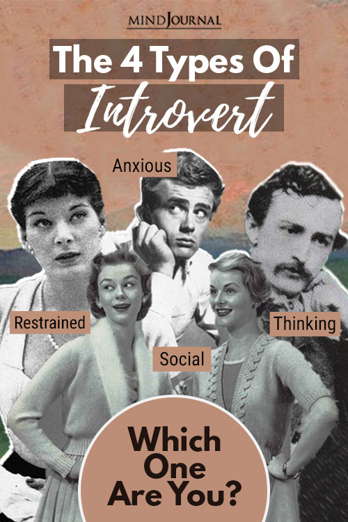 Types of Introvert Pin