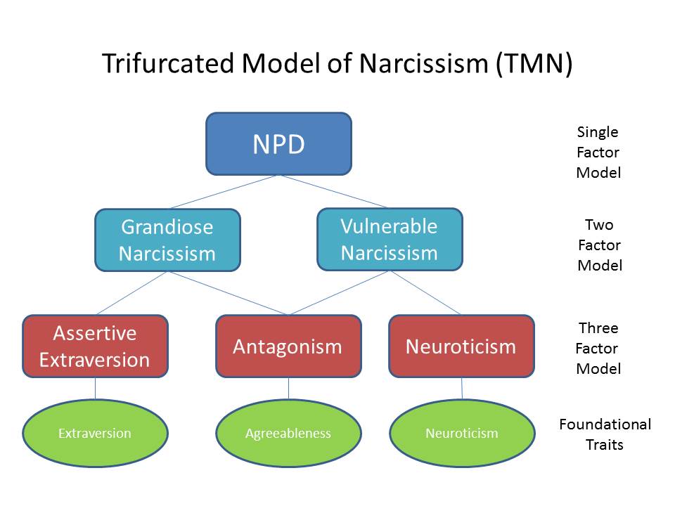 The Trifurcated Model of Narcissism