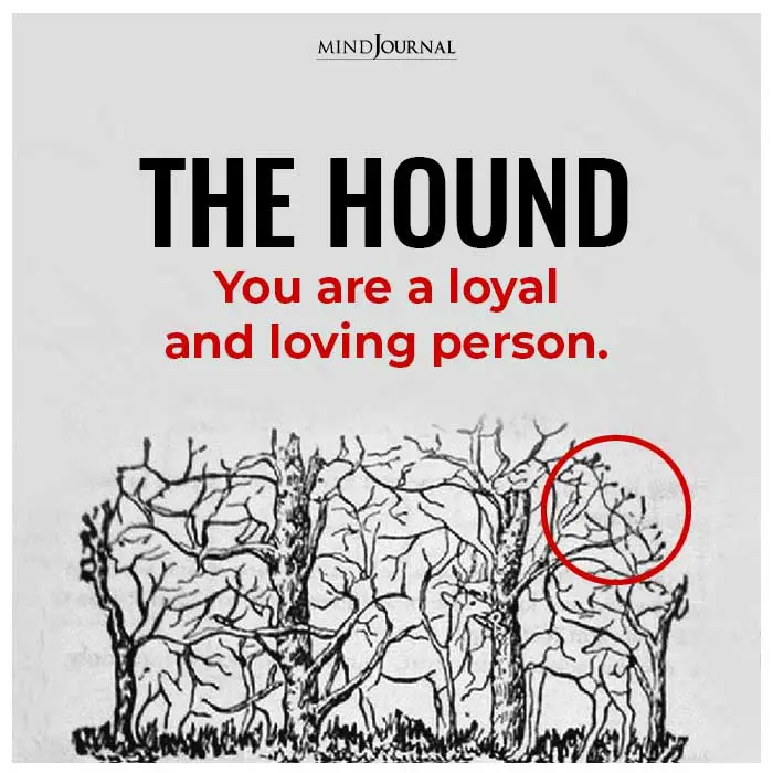 the hound