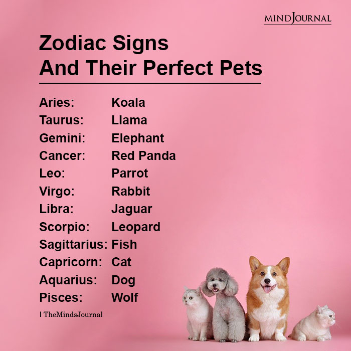 Zodiac Signs And Their Perfect Pets