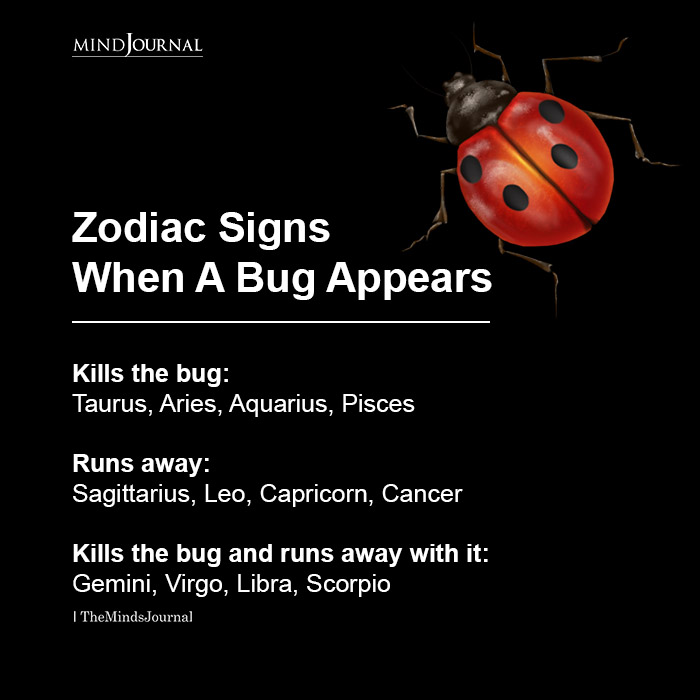 Zodiac Signs When A Bug Appears