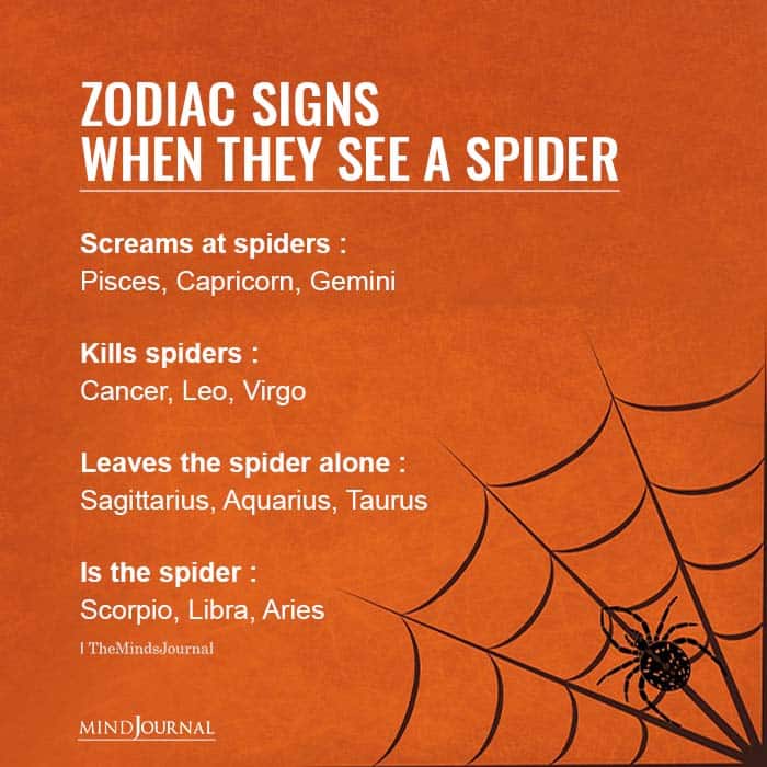Zodiac Signs When They See A Spider