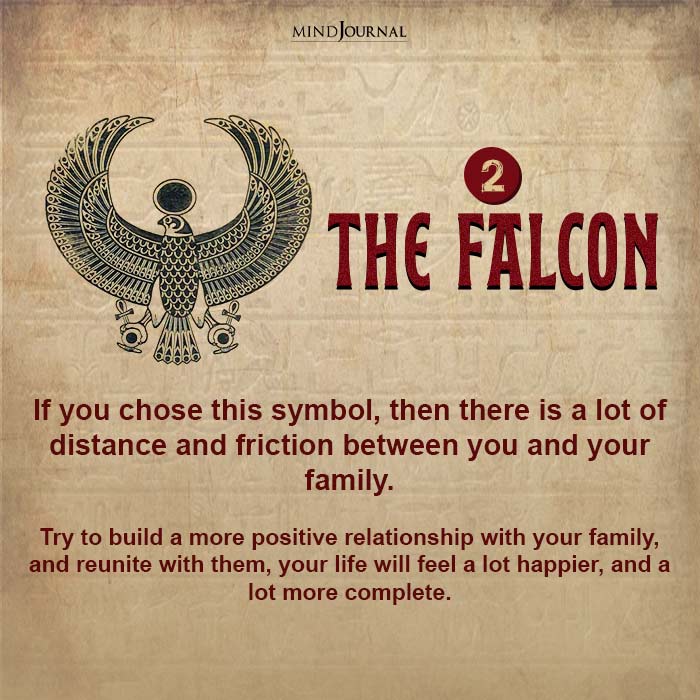 the falcon