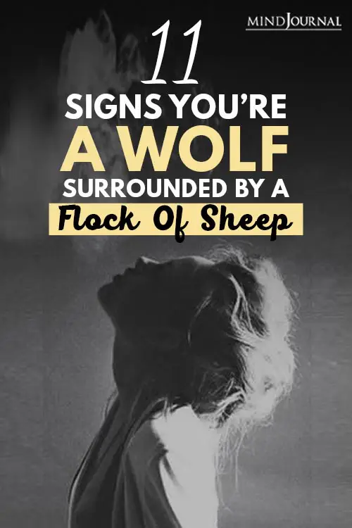Signs You’re Wolf Surrounded By Flock Of Sheep Pin