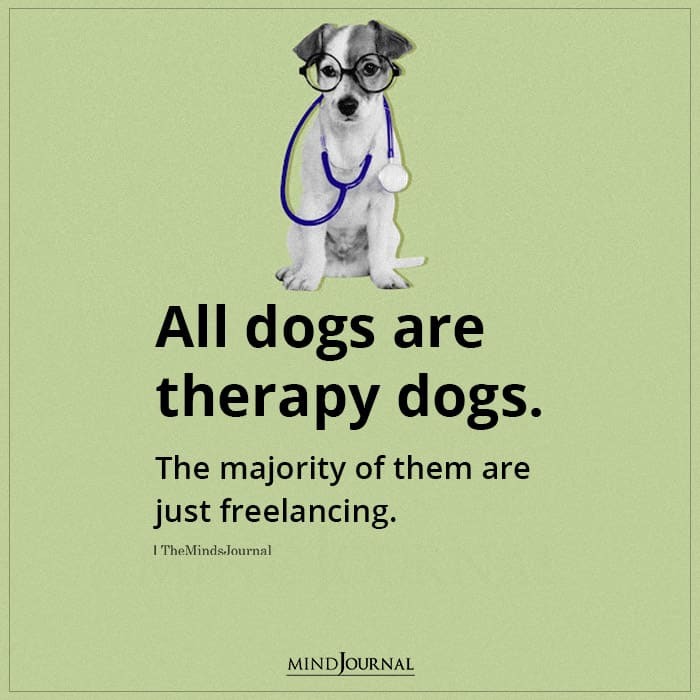 All Dogs Are Therapy Dog