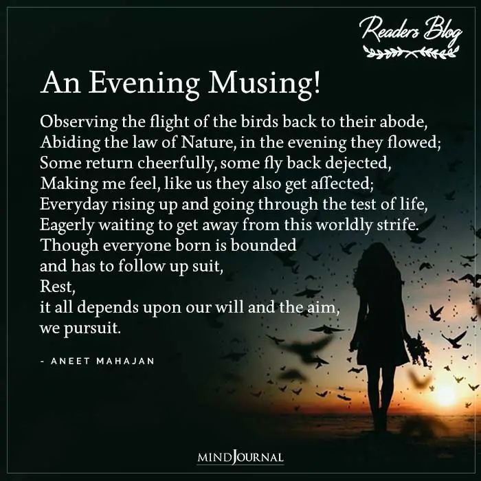 An Evening Musing