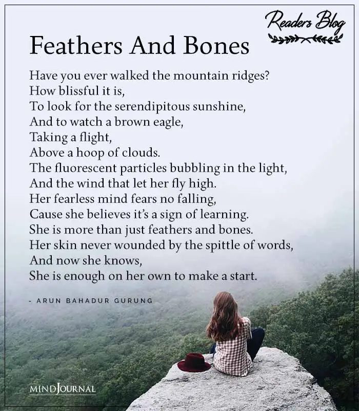 Feathers And Bones