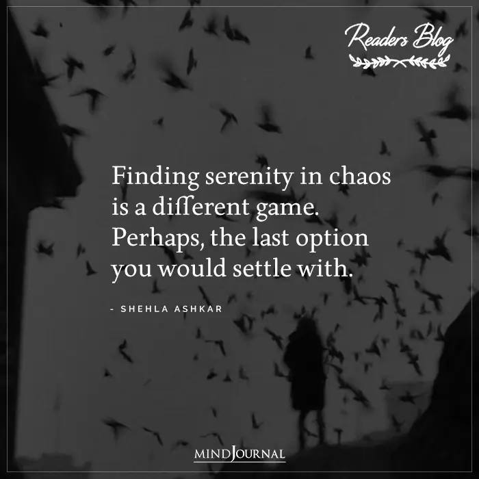 Finding Serenity In Chaos