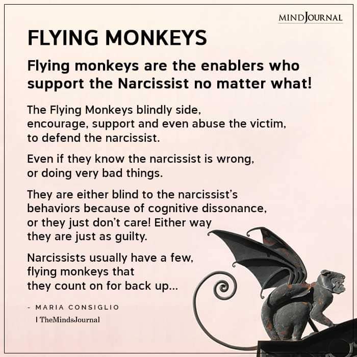Narcissists usually have a few, flying monkeys that they count on for back up.
