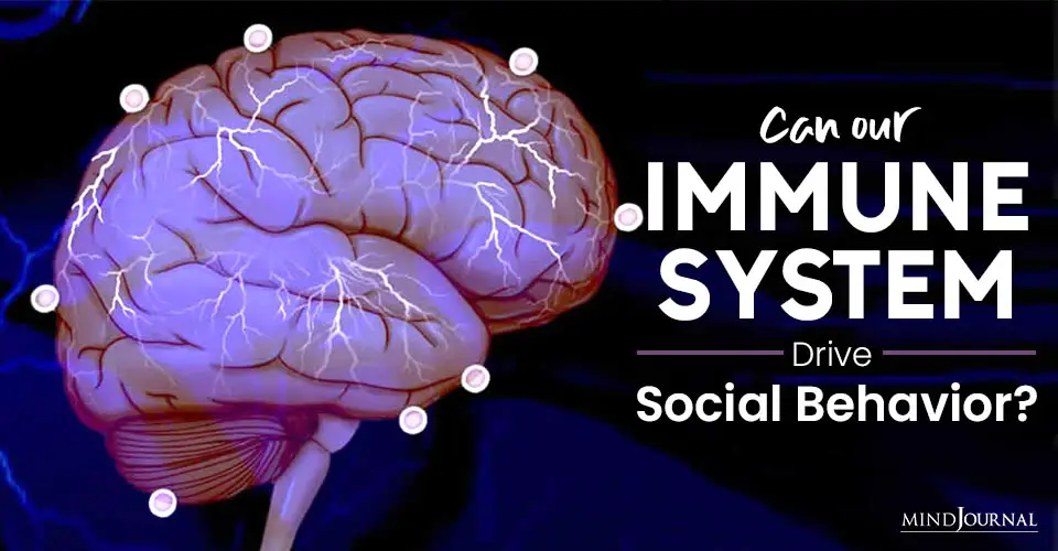 Immune System Drive Social Behavior