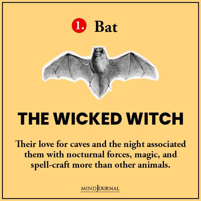 Test of The Northern Witches: Pick A Familiar Bat