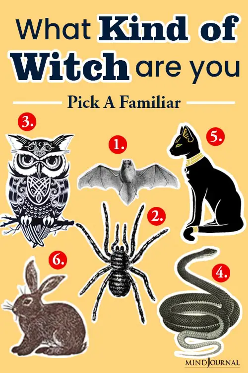 Kind Witch Pick Familiar Find Out pin