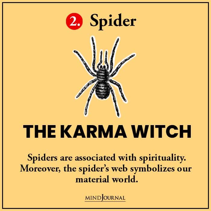 Test of The Northern Witches: Pick A Familiar Spider