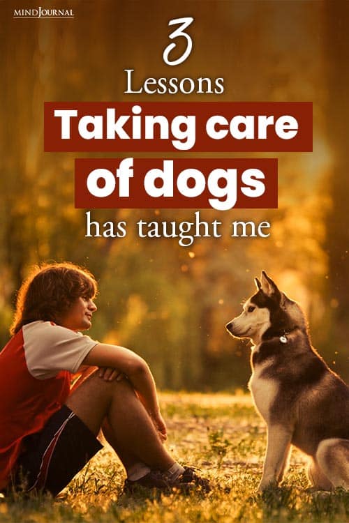 Lessons Taking Care Dogs Taught Me pin