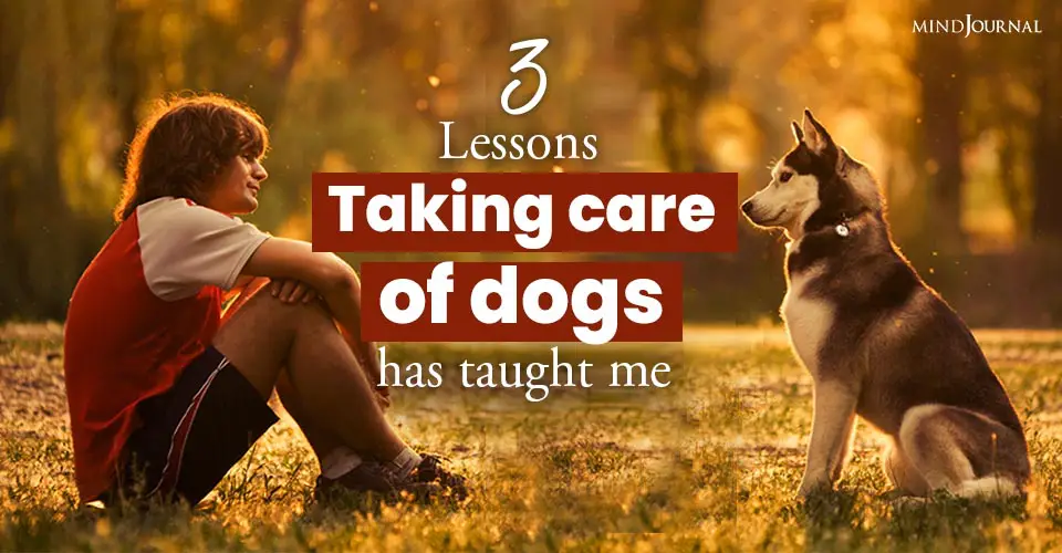 Lessons Taking Care Dogs Taught Me