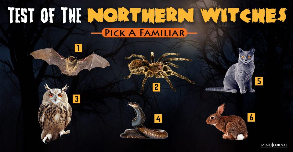 Test of The Northern Witches: Pick A Familiar For Your Message