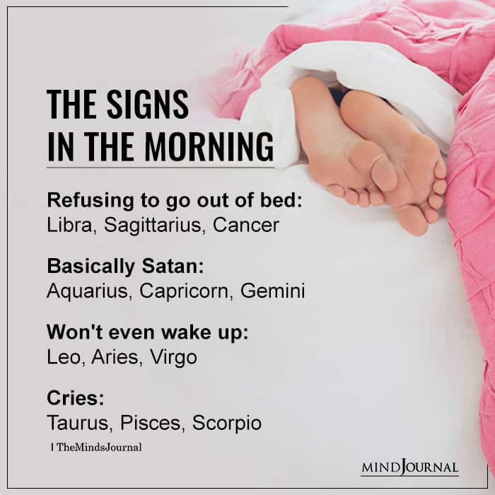Zodiac Signs in the morning