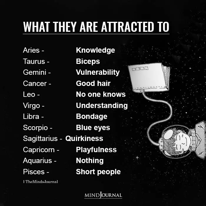 What The Zodiac Signs Are Attracted To