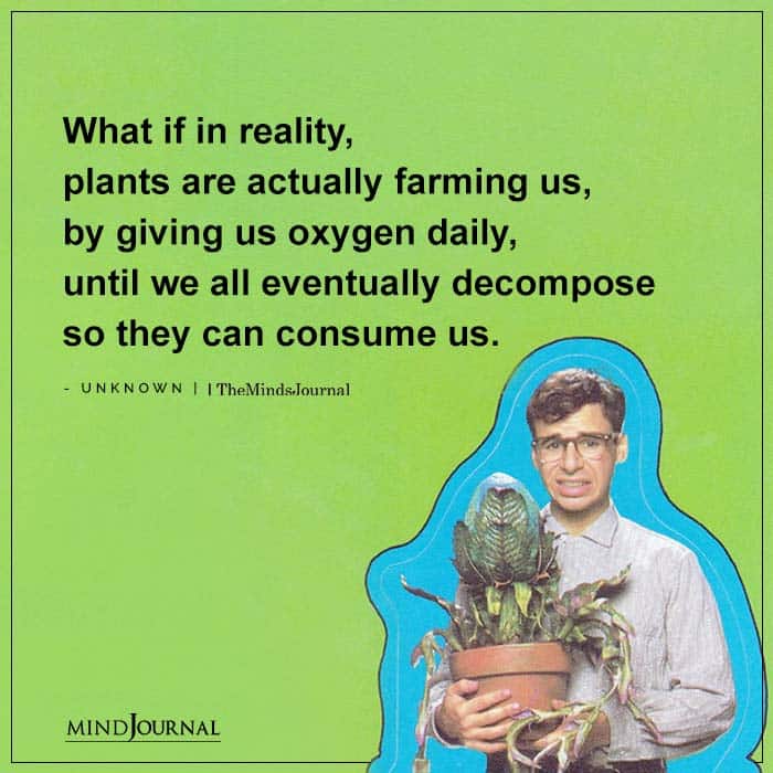What if in reality plants are actually farming us