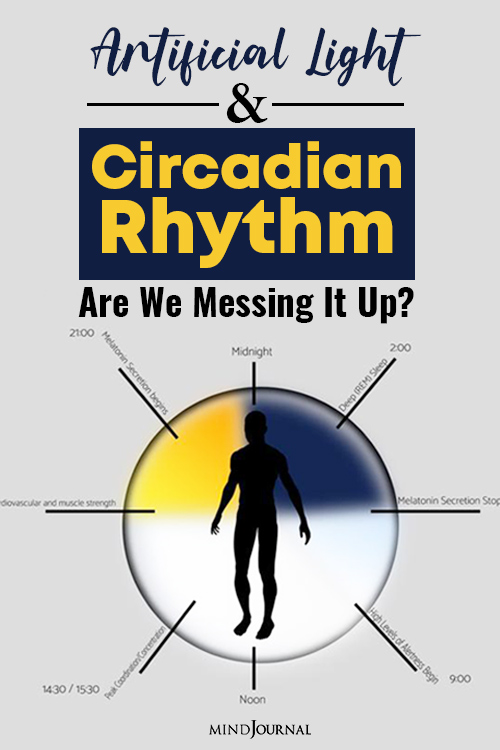 artificial light and circadian rhythm pin